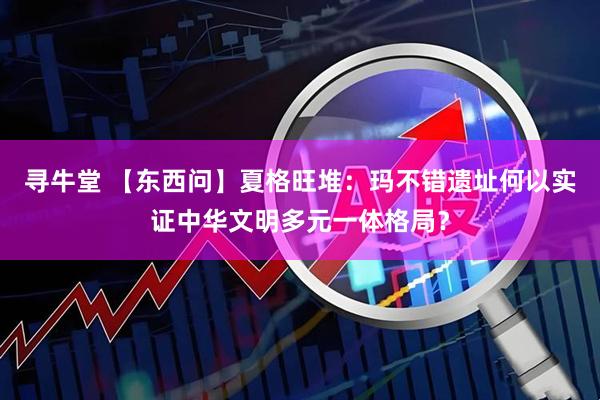 寻牛堂 【东西问】夏格旺堆：玛不错遗址何以实证中华文明多元一体格局？