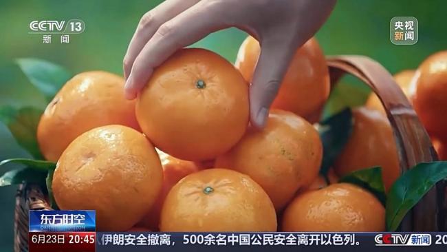 揭秘中国独角兽企业的成长破圈秘诀 政策红利助力创新