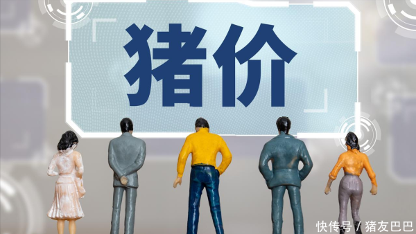 郑州配资网 一夜“跳涨”，猪价上涨“六亲不认”！附：6月28日猪价