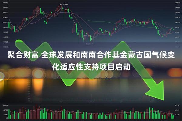 聚合财富 全球发展和南南合作基金蒙古国气候变化适应性支持项目启动