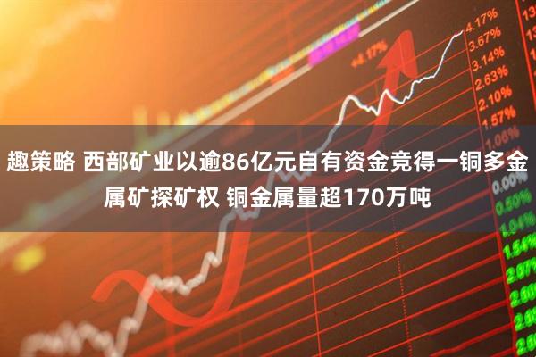 趣策略 西部矿业以逾86亿元自有资金竞得一铜多金属矿探矿权 铜金属量超170万吨