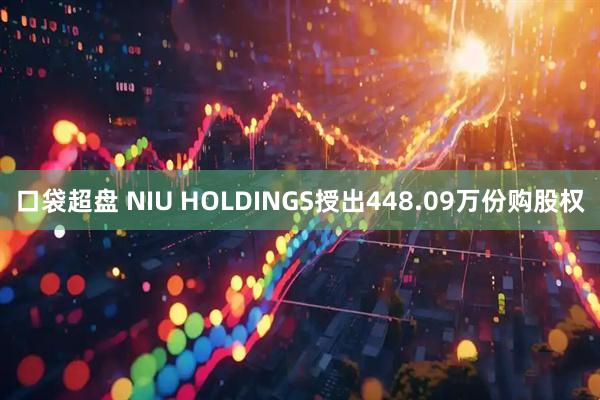 口袋超盘 NIU HOLDINGS授出448.09万份购股权