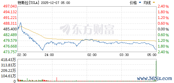 R图 TSLA_0