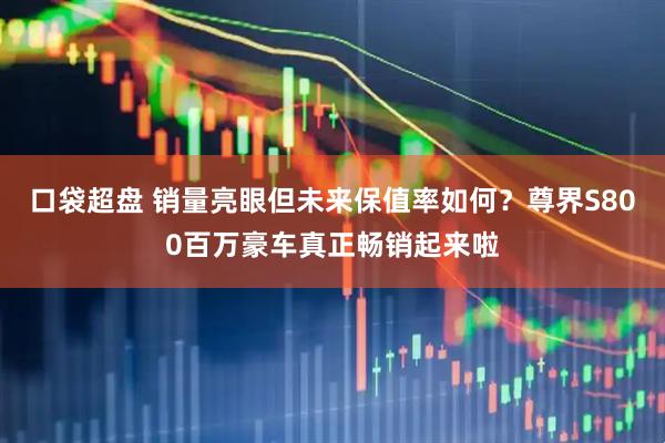 口袋超盘 销量亮眼但未来保值率如何？尊界S800百万豪车真正畅销起来啦